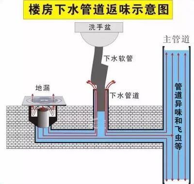 告別廚衛(wèi)臭味？先從讀懂地漏開始！
